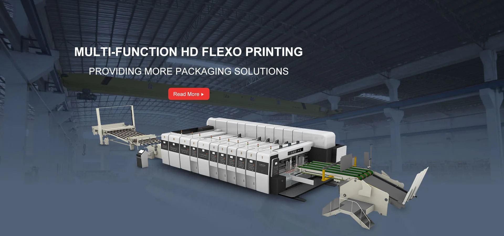Flexo Printer