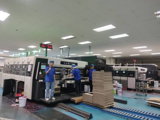 Asia PL-GP Vacuum Transfer Flexo Printer (2022)